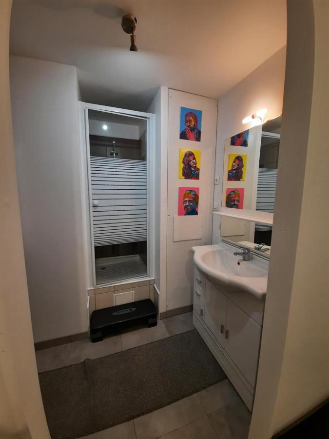 Copropriété les Iris Appartamento Saint-Etienne  Esterno foto