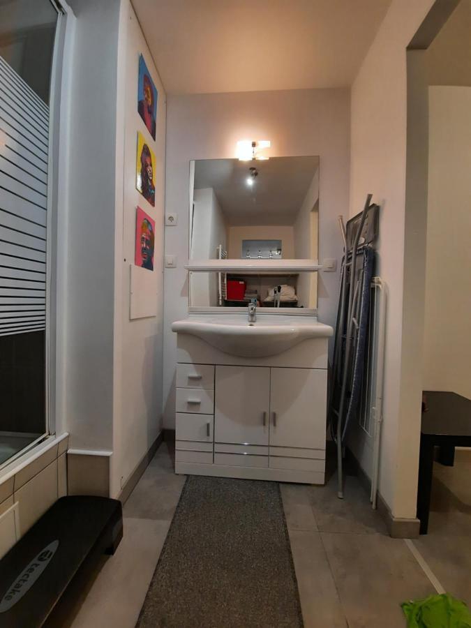 Copropriété les Iris Appartamento Saint-Etienne  Esterno foto