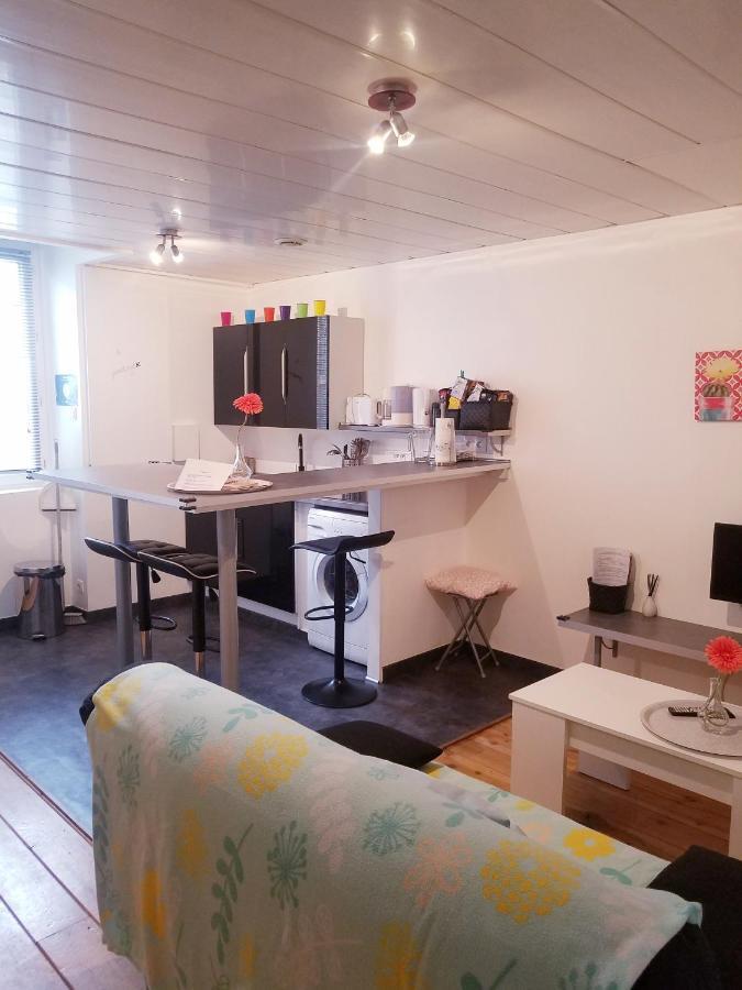 Copropriété les Iris Appartamento Saint-Etienne  Esterno foto